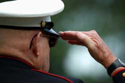 elderly Veteran 
